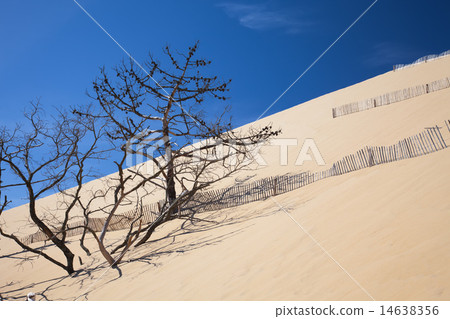 The highest sand dune in Europe Pilat 14638356