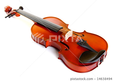 Violin Violin 14638494
