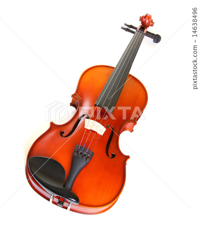 Violin Violin 14638496