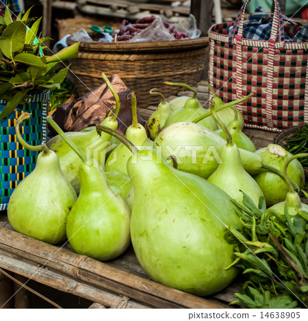 Bottle green gourds ( calabash ) 14638905