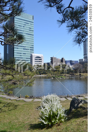 Former Shiba Rikyu Garden 14638939