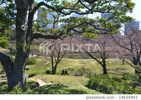 Old Shiba Rikyu Imperial Palace Garden (View from Oyama) Old Shiba Rikyu Imperial Palace Garden (View from Oyama) 14638941