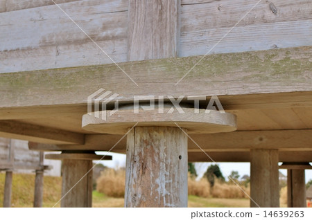 Mouse back Mouse back 14639263