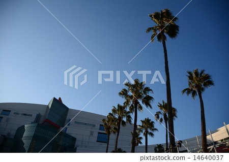 Minato Michi under the blue sky (2) 14640037