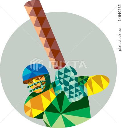 Cricket Player Batsman Batting Low Polygon 14640285