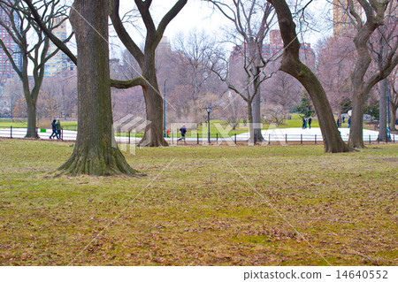 New York, USA, central park 14640552
