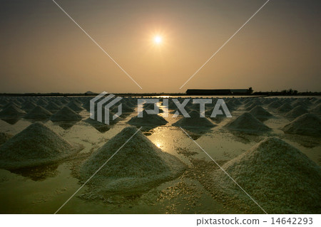 salt farm 14642293