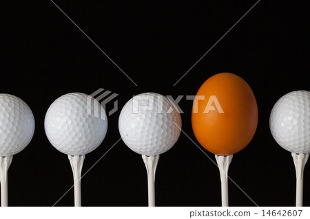 Golf balls and egg on a black glass desk Golf balls and egg on a black glass desk 14642607