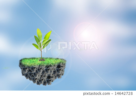 Trees in the sky 14642728