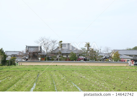 Asukaji 14642742