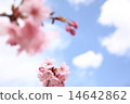 一個胡思亂想的風景 14642862