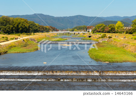 Kamogawa River in autumn Kamogawa River in autumn 14643166