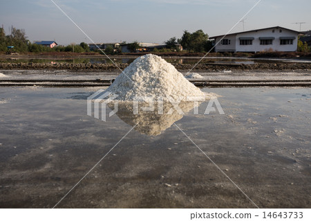 Naklua Mass of salt in salt seaside farm 14643733