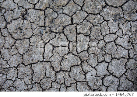 Background of dry cracked soil dirt or earth   14643767