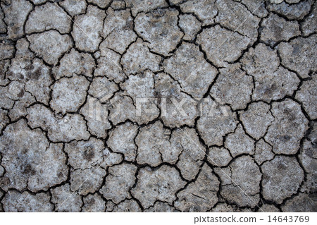 Background of dry cracked soil dirt or earth   14643769