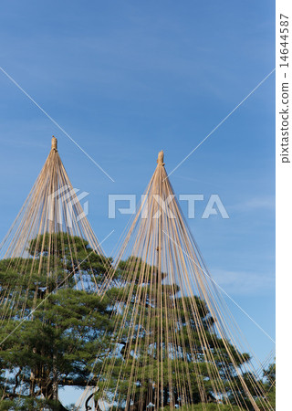 Snow hanging 14644587