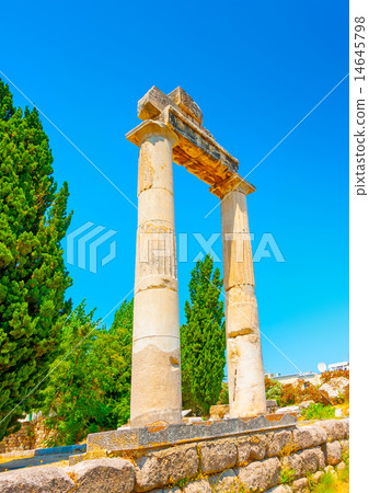 in ancient Agora of Kos island in Greece in ancient Agora of Kos island in Greece 14645798