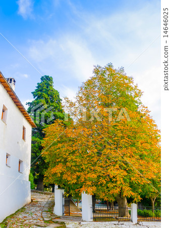 Agios Lavrendios village on pilion mountain 14646025