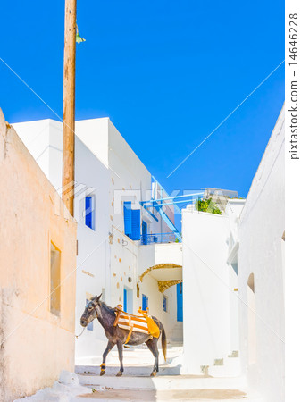 in Amorgos island in Greece in Amorgos island in Greece 14646228