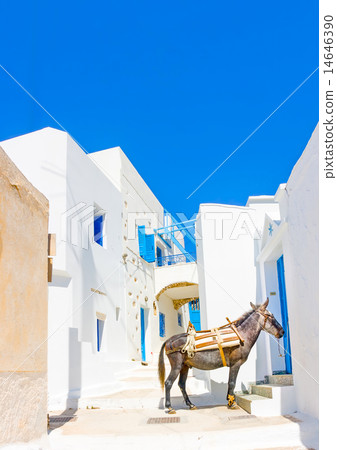 in Amorgos island in Greece in Amorgos island in Greece 14646390