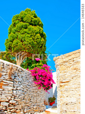 in Amorgos island in Greece in Amorgos island in Greece 14646583