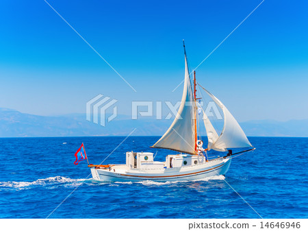 14646946