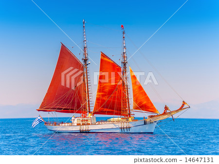 14647131