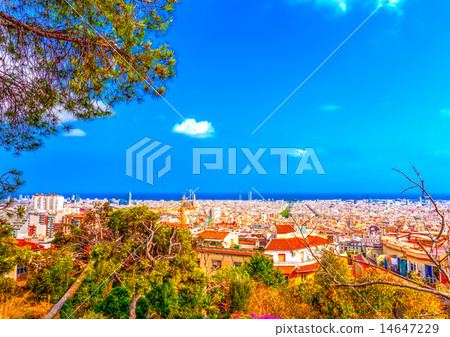 in Barcelona in Spain 14647229