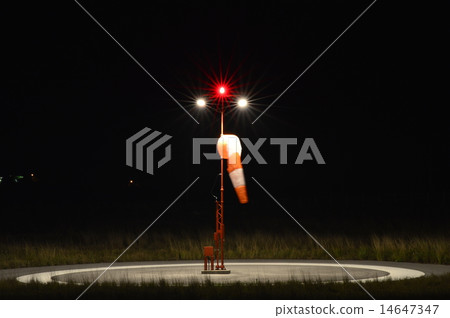 A runaway on the runway A runaway on the runway 14647347