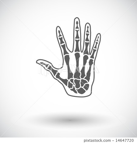 Anatomy hand 14647720