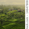 my village 14647808