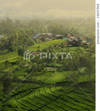 my village my village 14647808