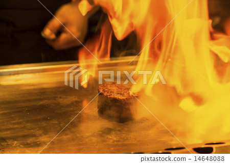 Fillet of fillet 14648088