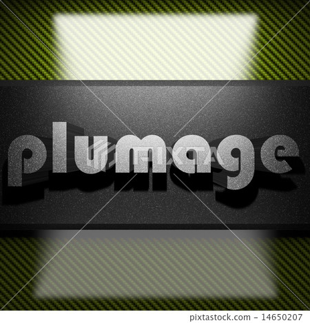 plumage word of iron on carbon 14650207