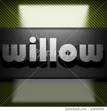 willow word of iron on carbon 14650491