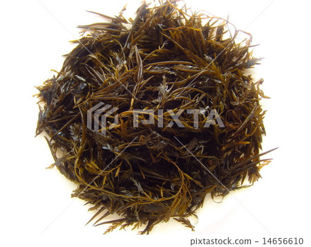 Seaweed as well Seaweed as well 14656610