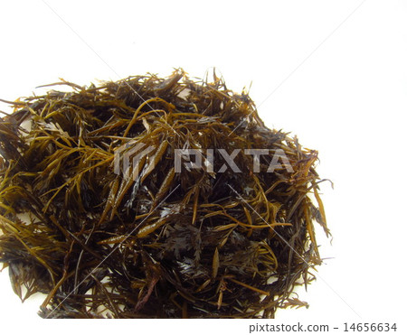 Seaweed as well Seaweed as well 14656634