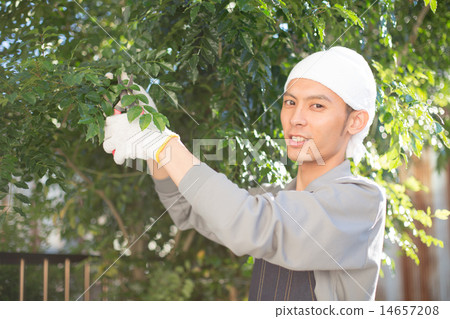 修剪 園丁工作 人 14657208