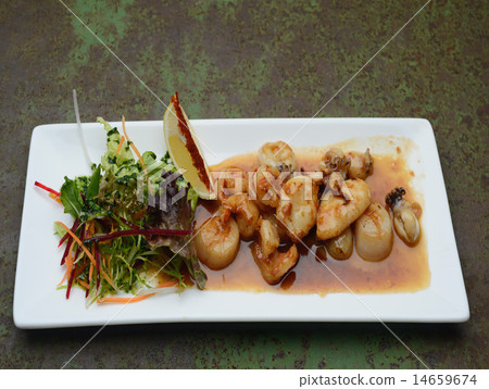 mollusk scallop mollusk scallop 14659674