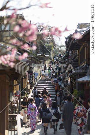 寧夏湖梅花 14662116