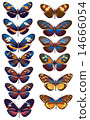 Butterfly lolly butterfly illustration 1 14666054