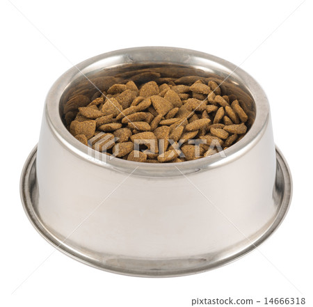 Pet's dog metal bowl isolated 14666318