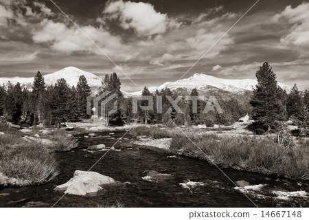 Yosemite National Park 14667148