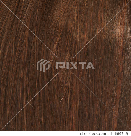 Hair fragment as a background composition 14669749