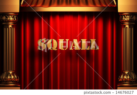 squall golden word on red curtain 14676027