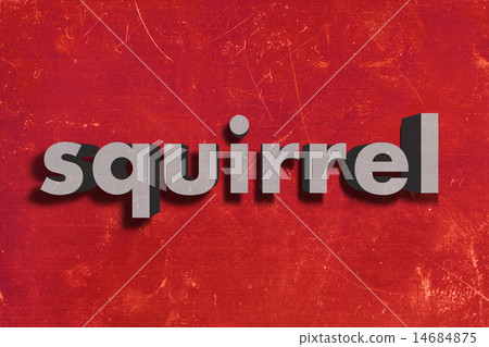 squirrel word on red wall - Stock Illustration [14684875] - PIXTA