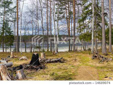 early spring with melting ice and snow 14689074