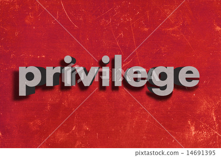 privilege word on red wall 14691395