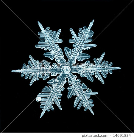 natural crystal snowflake macro natural crystal snowflake macro 14691824