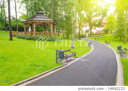 Road in the park 14692222
